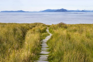 Çim ve adalar ve okyanus manzarası ile güzel bir yol
