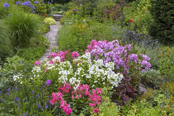 Beautiful garden in summer, with blooming flowers — Stock Photo, Image