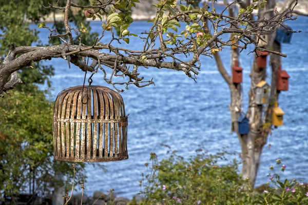 Jaula para pájaros vieja y vintage, colgada en el jardín — Foto de Stock