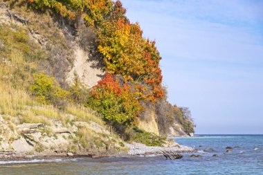 Sassnitz yakınlarındaki Rugen Adası'nın sahil şeridinde tebeşir kayalıkları