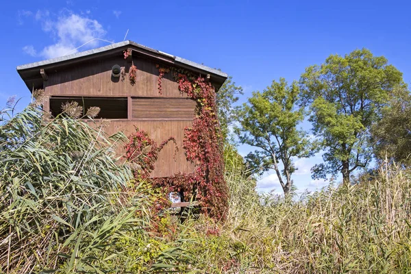 Blick auf einen Vogelbeobachtungsturm im Herbstlicht, Brandenburg — Stockfoto