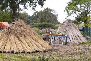 Baltık Denizi ve Mecklenburg birçok ev zekâ kaplıdır