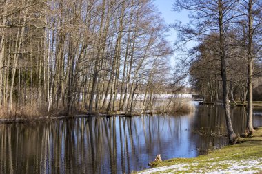 Kışın manzara. İsveç'te küçük bir gölde