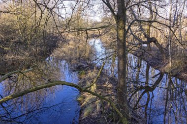 Brandenburg eyaletinde, Almanya, çok sayıda kır bir