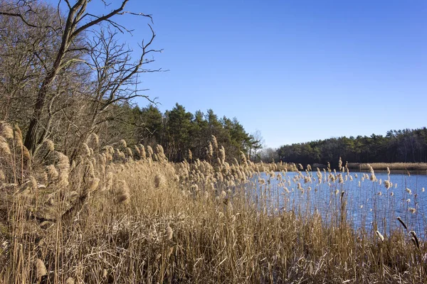 Un hermoso día a principios de primavera en un pequeño lago — Foto de Stock