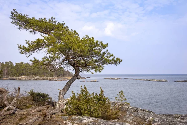 Típico de la costa del archipiélago sueco son las piedras cortadas por — Foto de Stock