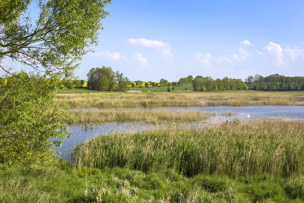 Bahar güzel manzara.