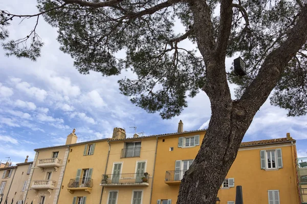 Architecture in southern France with typical pine tree, seen in