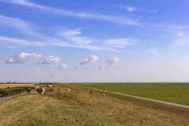 Almanya, Husum yakınlarındaki Kuzey Denizi bataklığına bakın..