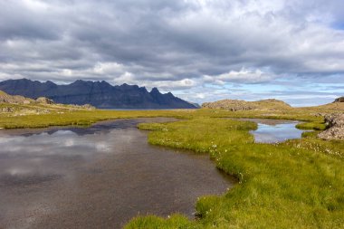 Tipik ve güzel bir manzara ve Doğu İzlanda 'nın el değmemiş doğası. Ön planda pamuklu otlarla kaplı küçük bir sulak arazi görebilirsiniz..