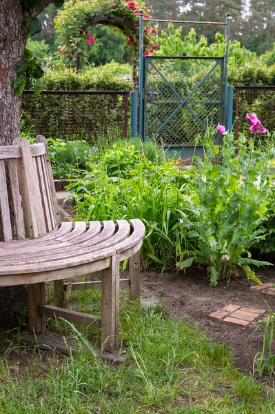 Tahta bir bahçede ahşap bir bank manzarası. Dinlenmek için harika bir yer yaratıldı..
