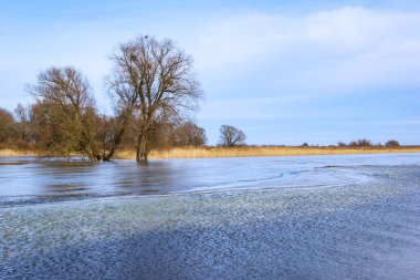 Almanya ile Polonya arasındaki sınır nehri olan Oder nehri üzerindeki sel basmış manzaraya bakın..