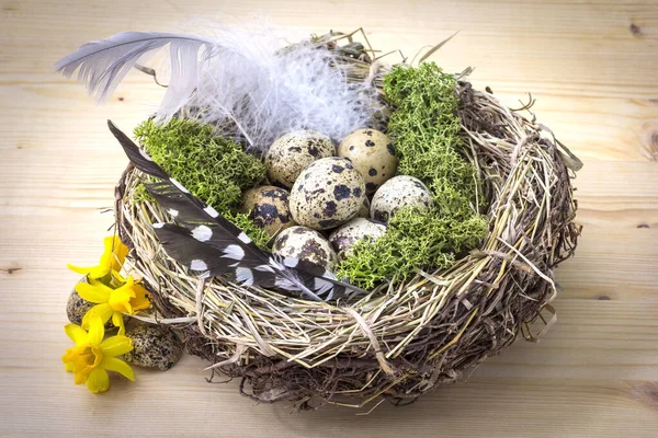 Masanın üzerinde küçük bir Paskalya Yuvası duruyor. Çiçekler, tüyler ve yumurtalarla süslenmiş..