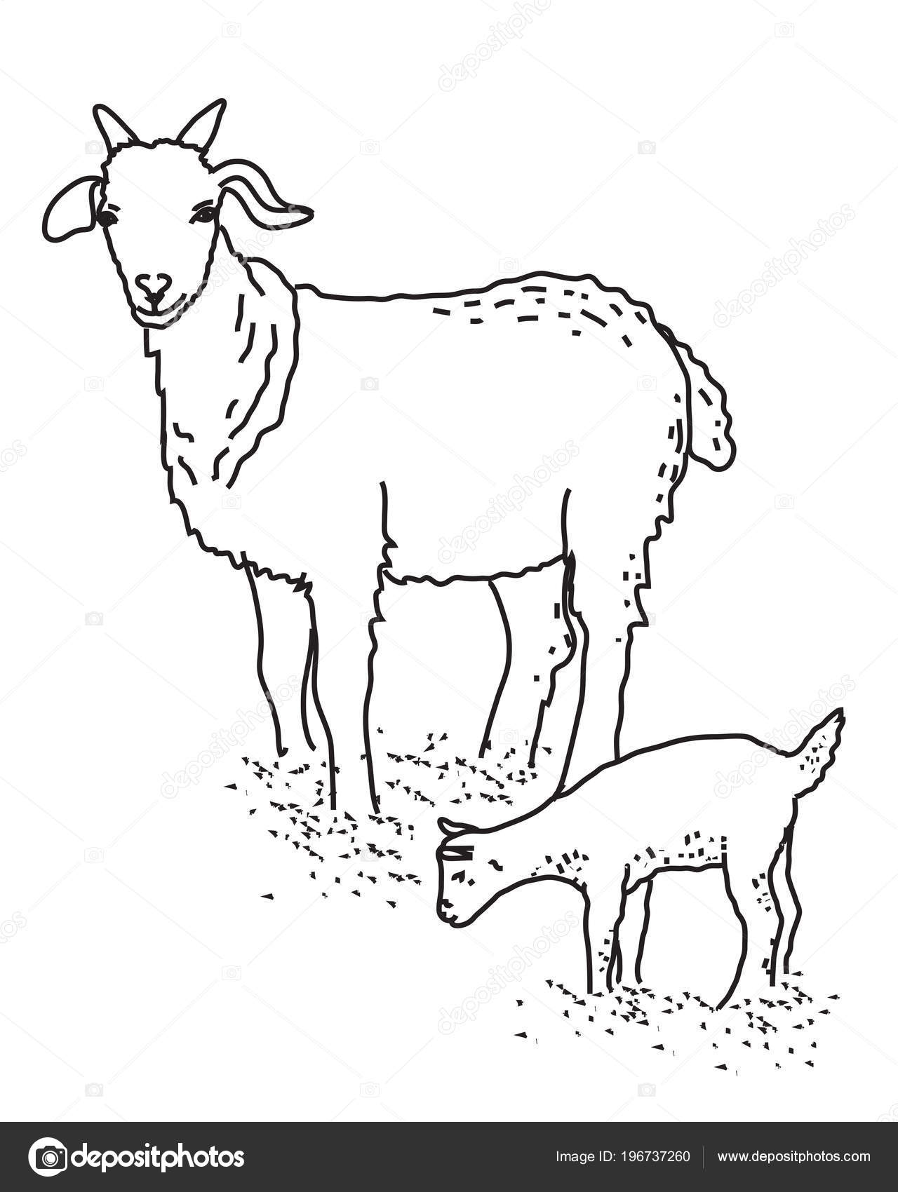 Chevre Son Bebe Illustration Vectorielle Image Vectorielle Alina Ill Mail Ru C Chevre Son Bebe Illustration Vectorielle Image Vectorielle Alina Ill Mail Ru C