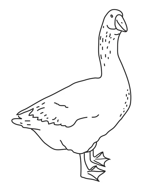 Trots Gans Vectorillustratie — Stockvector