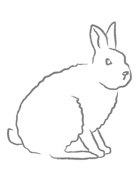 白い背景の上のウサギの輪郭 — ストックベクタ