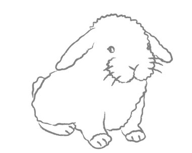 Beyaz arka plan üzerinde şirin tüylü tavşan