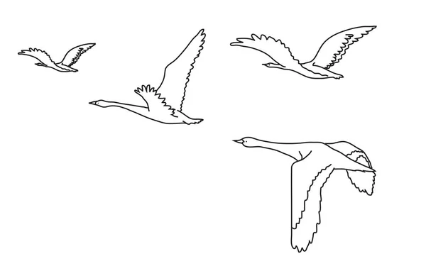 Ein Schwarm Vögel Vektorillustration — Stockvektor