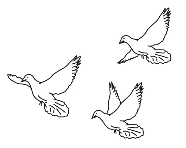 Trois Colombes Volent Dans Ciel — Image vectorielle