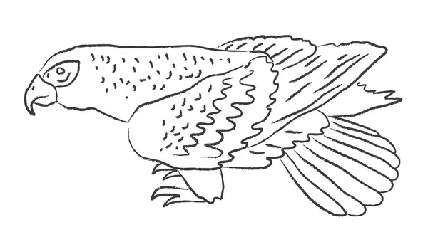 Feathered Predator Vector Illustration — Stock Vector