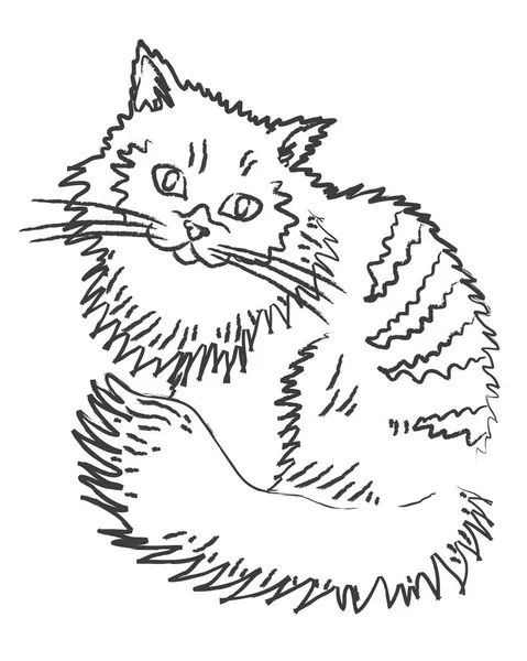 Милая Кошка Белом Фоне — стоковый вектор