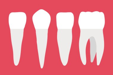 İnsan dişleri kümesi. Vektör çizim.