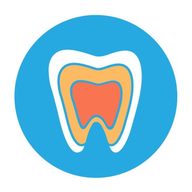 Bir diş bir kesim içinde. Vektör çizim.