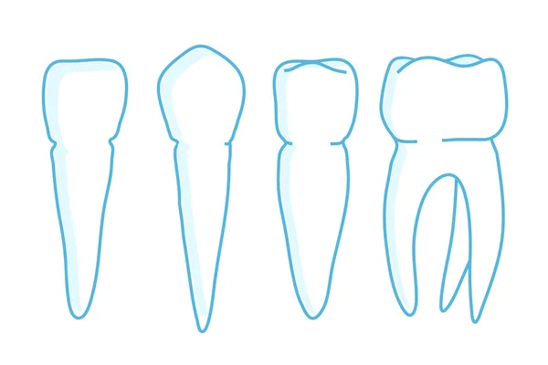 Conjunto Dentes Humanos Ilustração Vetorial —  Vetores de Stock