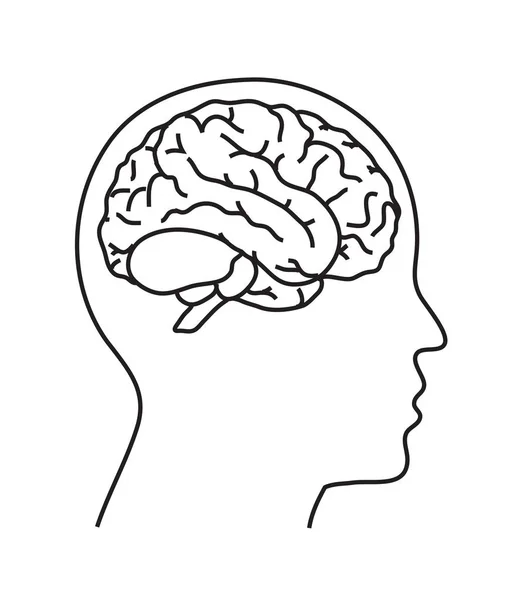 Contorno Cabeza Cerebro Una Persona Ilustración Vectorial — Vector de stock