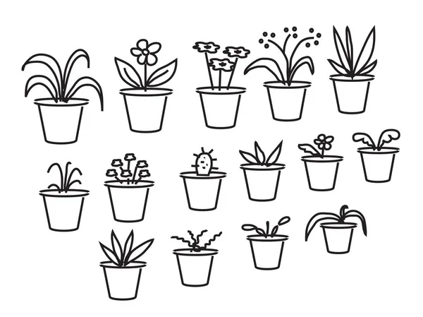 Various Plants Pots Vector Illustration — Stock Vector