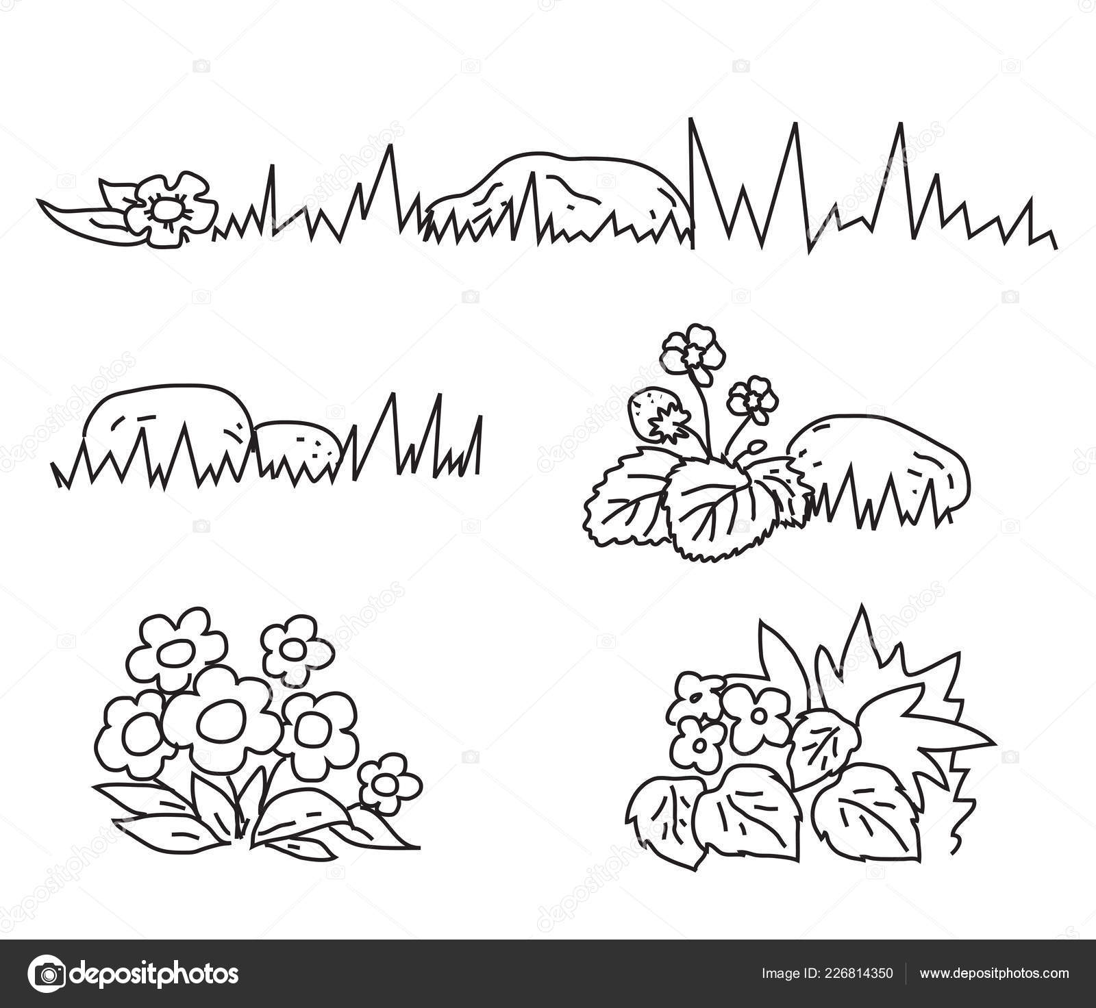 Line art natural design elements collection. Decorative nature design  elements set. Outline grass, mushrooms, plants, flowers, leaves, berries  and other wild natural elements. 20852471 Vector Art at Vecteezy