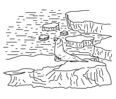 Bir buz parçası kapatın. Resimde beyaz arka plan üzerinde.