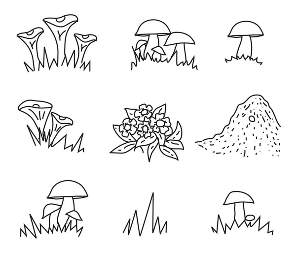 Natura Funghi Fiori Illustrazione Del Contorno — Vettoriale Stock