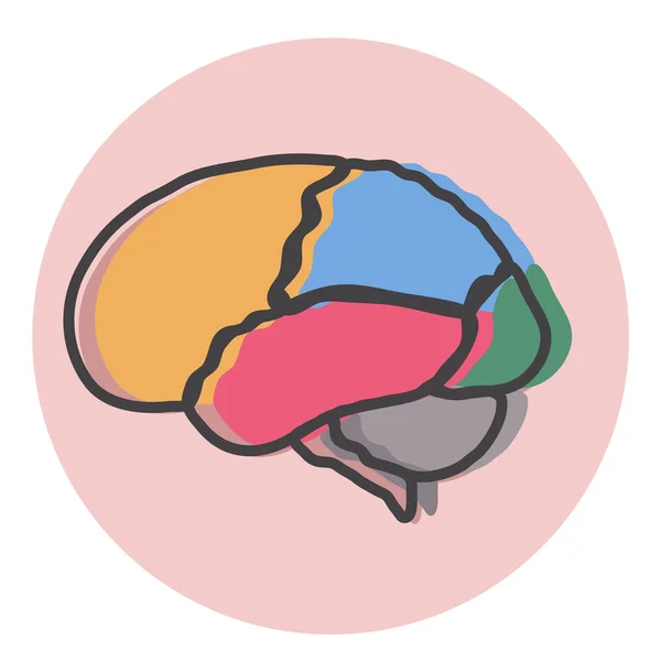 Cérebro Área Cerebral Cérebro Círculo Ilustração Vetorial —  Vetores de Stock