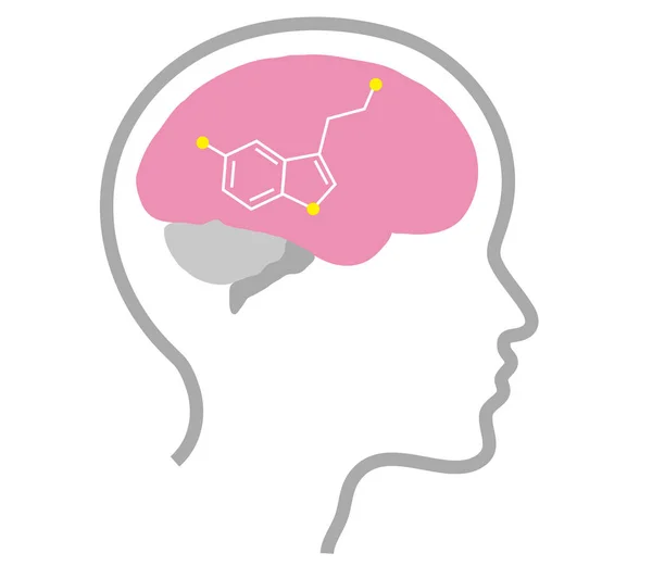 Cérebro Humano Silhueta Cabeça Sobre Fundo Branco Serotonina Ilustração Vetorial — Vetor de Stock