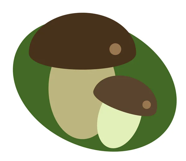 Two Mushrooms Green Background Vector Illustration — Stock Vector