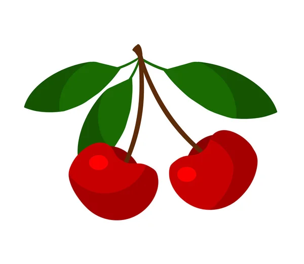 Gyönyörű Cseresznye Fehér Háttérrel Vektorillusztráció — Stock Vector