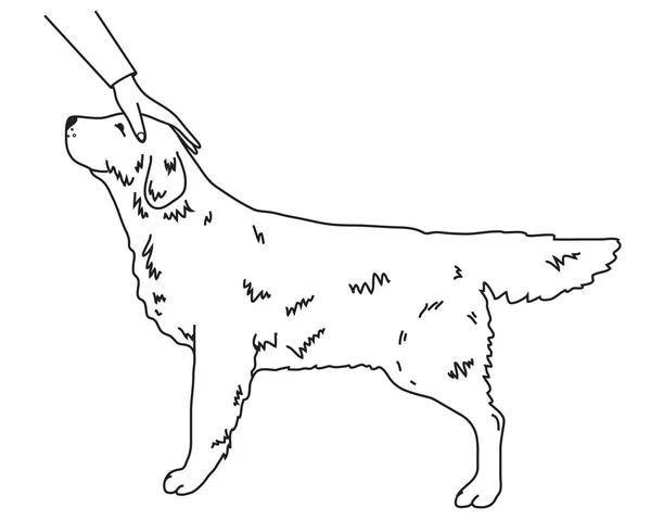 Hand Van Man Streelde Een Hond Een Witte Achtergrond Tekening — Stockfoto