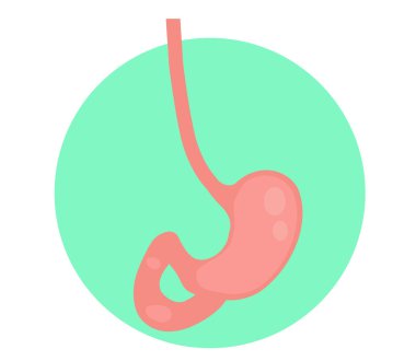 Mavi arka planda bir mide. Çizgi film. Vektör illüstrasyonu.