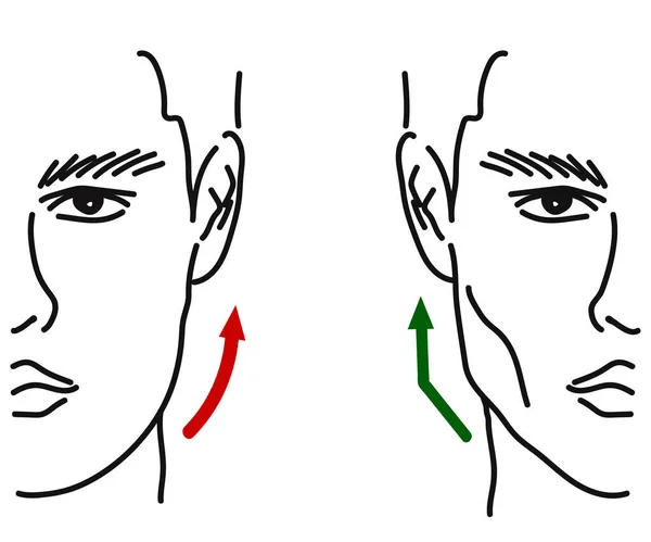 Pozadí Objevila Silueta Mužské Tváře Korekce Tvaru Obličeje Brady Vektorová — Stockový vektor