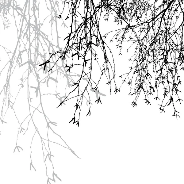 Силуэт Векторного Дерева Черно Белом — стоковый вектор