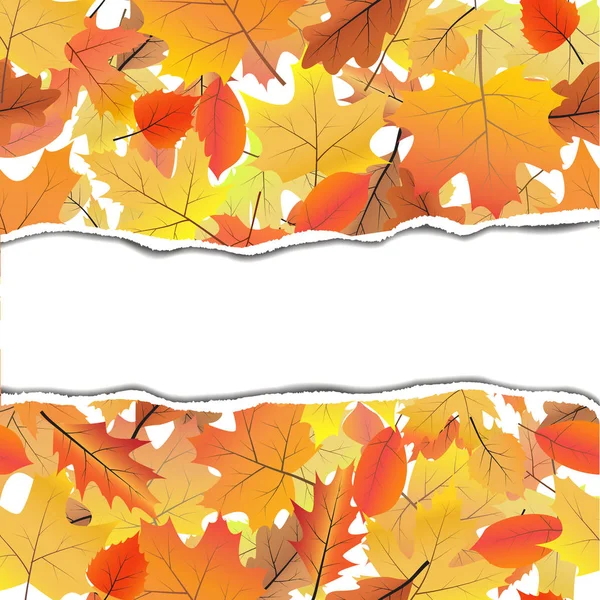 Vektorový Pozadí Roztrhaný Papír Prostor Pro Text Podzimní Listí Vzor — Stockový vektor