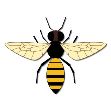 Beyaz arka planda gölgesi olan izole edilmiş arı tasviri.