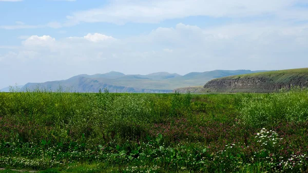 Panorama der Berglandschaft, Wildblumen — Stockfoto