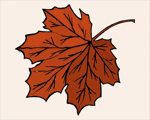 Daun maple, jatuh vektor musim gugur - Stok Vektor