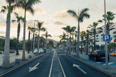 Palmiye ağaçlarının Avenue Las Americas, Tenerife, İspanya. 