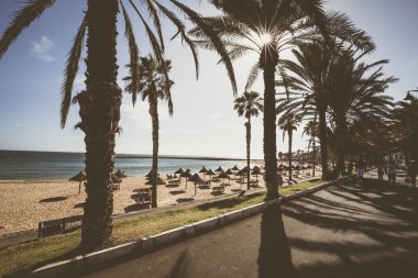 Ünlü plajlarından Tenerife, Playa las Americas ve Playas Del Camison güneşli.
