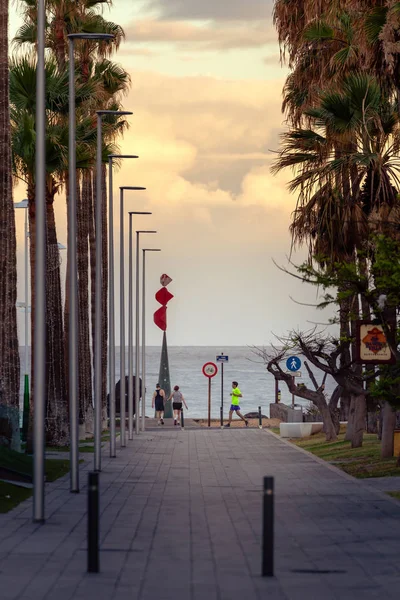 Palmbomen Avenue Las Americas Tenerife Spanje — Stockfoto
