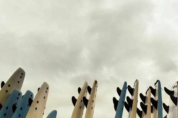 Back side of surfboards with shark fins.