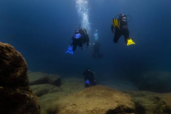 Mergulhadores Nadam Águas Profundas Oceano Azul — Fotografia de Stock